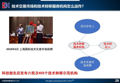 科技企业改革的基石 聚焦四大领域，解析九大议题（上）——科技中介服务的转型与赋能